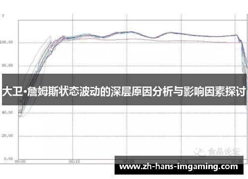 大卫·詹姆斯状态波动的深层原因分析与影响因素探讨