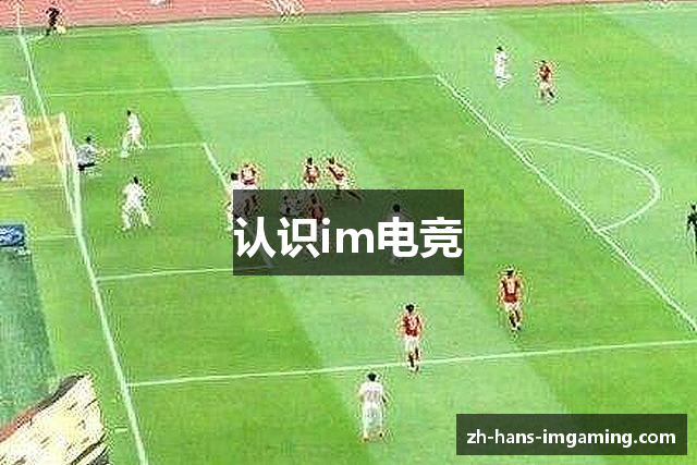 认识im电竞